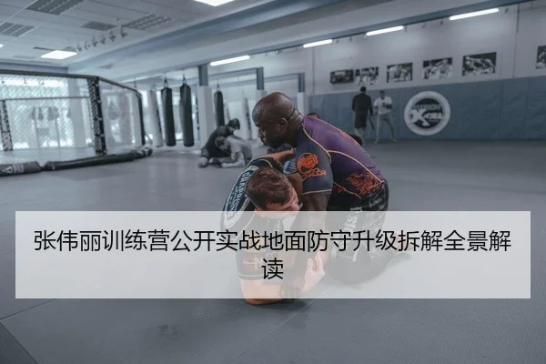 张伟丽训练营公开实战地面防守升级拆解全景解读